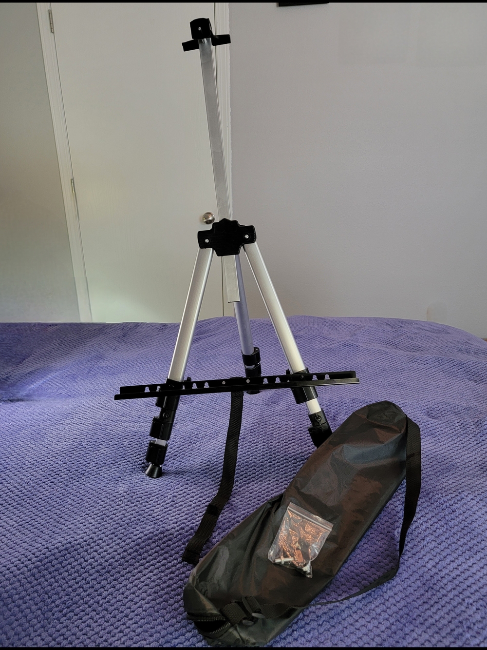 Portable Silver and Black Artist/Easel Stand with Carry Bag